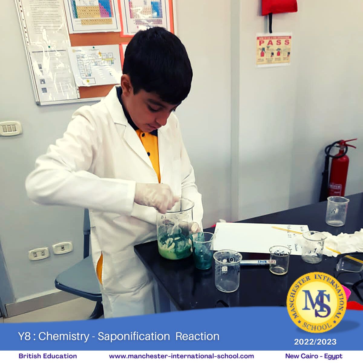 Y8 : Chemistry – Saponification eaction