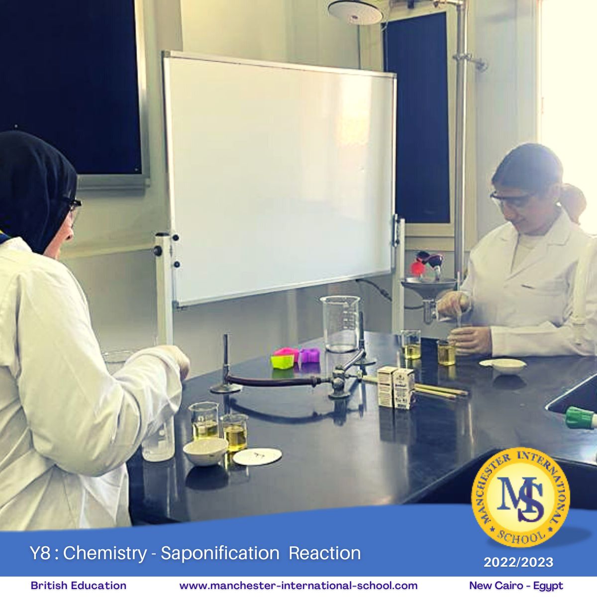 Y8 : Chemistry – Saponification eaction